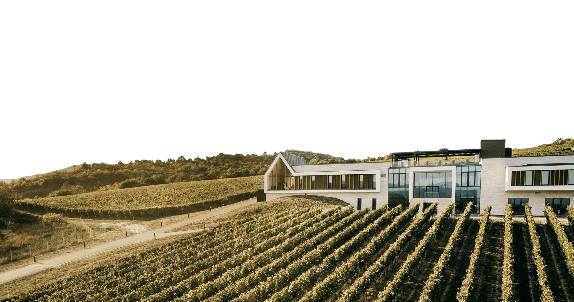 hills