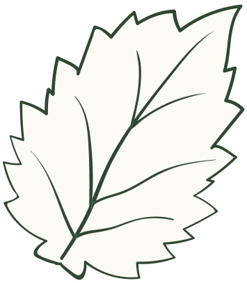 leaf